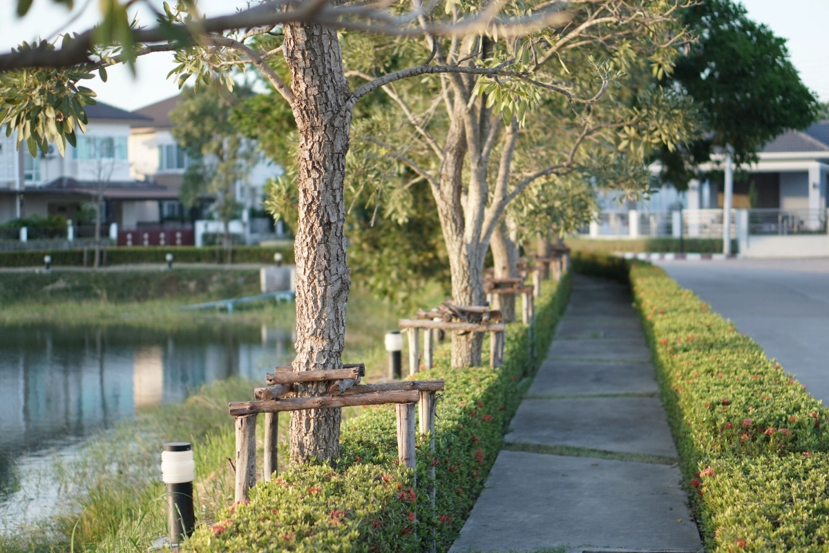 Weston FL lifestyle near homes for sale in Weston with lake walking paths