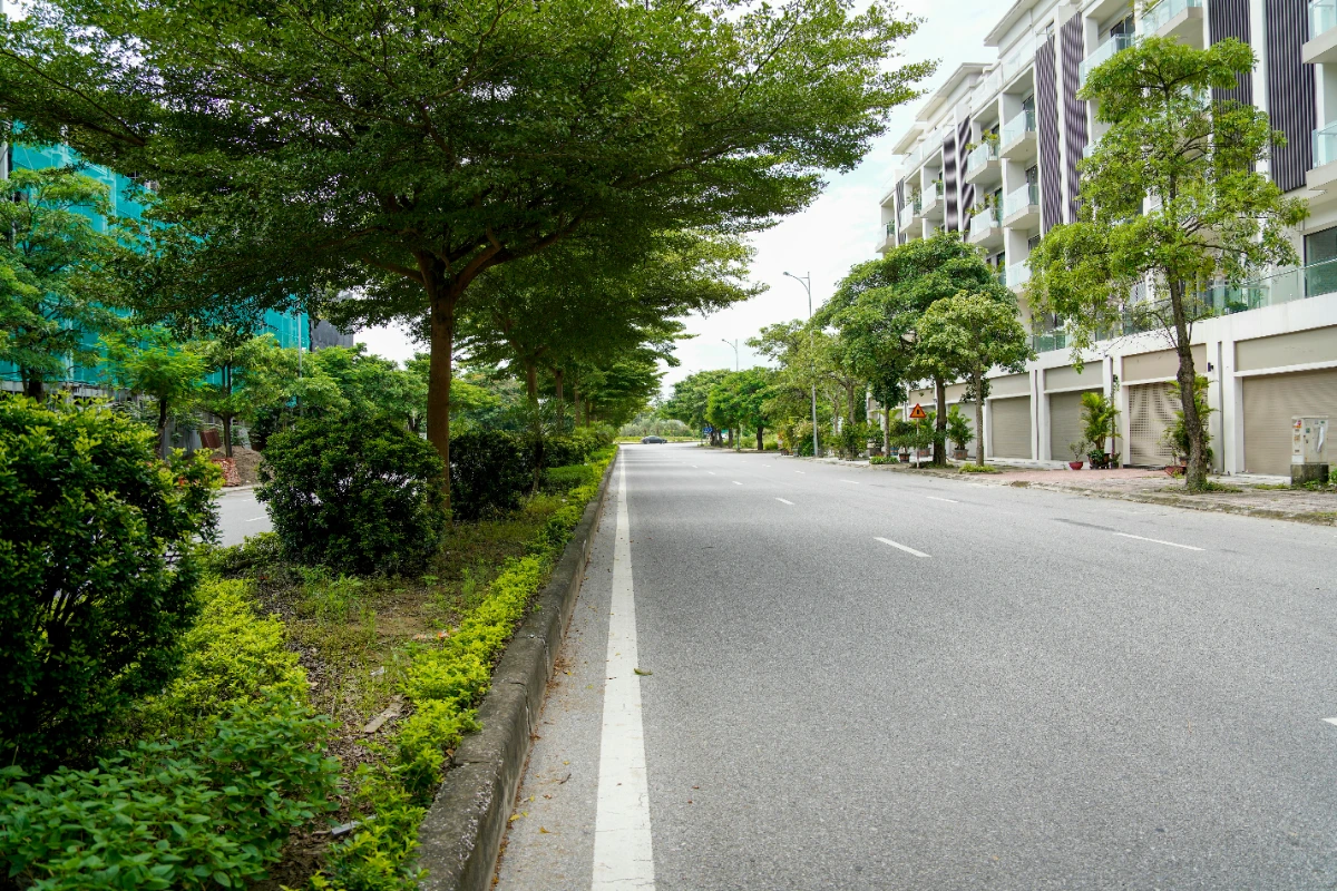 Tree-lined neighborhood near homes for sale in Plantation FL